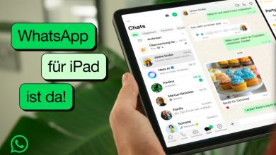 إطلاق WhatsApp رسميًا على أجهزة iPad: التجربة التي انتظارها الكثيرون!