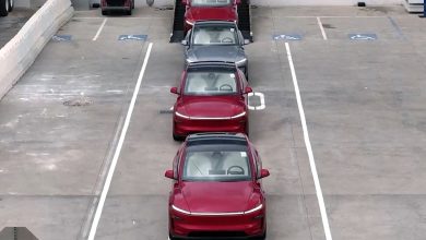 إطلاق سيارة Tesla Model Y القادرة على القيادة الذاتية في 12 يونيو عقب نجاح تجاربها المستقلة في أوستن