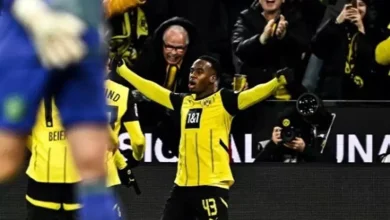 تشيلسي يستهدف ضم نجم بوروسيا دورتموند وفقًا لتقارير سكاي